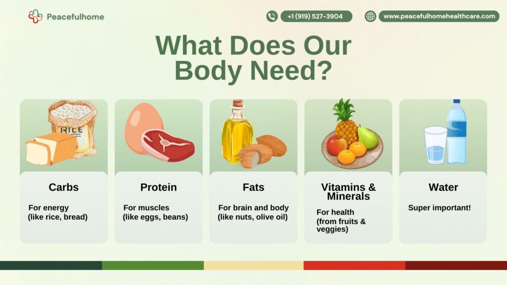 Nutrition for Healthy Aging